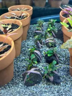 メル様 リクエスト 3点 まとめ商品