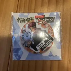 呪術廻戦/虎杖悠仁/缶バッチ