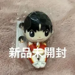中島健人 ちょっこりさん 新品未開封