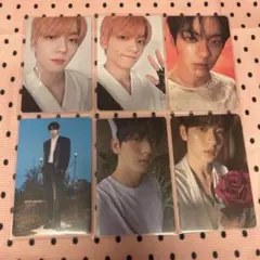 txt スビン　トレカ　まとめ売り