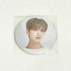 seventeen ode to you ライビュ ジョシュア 缶バッジ