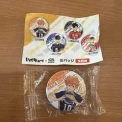 ハイキュー!! 缶バッジセット 日向翔陽