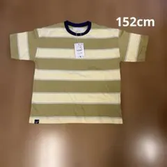 ZARA キッズ ボーダーTシャツ 152cmのサムネイル