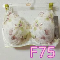 ワコール　ウイング　レシアージュ　ブラジャー　F75　クリームのサムネイル