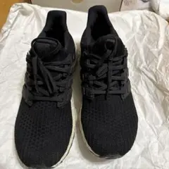 Item thumbnail for item d5f0d282-6433-4678-838d-aa9f1037a0ba