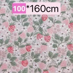 Item thumbnail for item 7d6ea802-0793-455f-8240-1a9077fc58ea