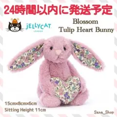 ジェリーキャット　25アニバーサリー　アンバーリーバニー　廃盤　レア　希少 ジェリーキャット 25アニバーサリー アンバーリーバニー 廃盤 レア