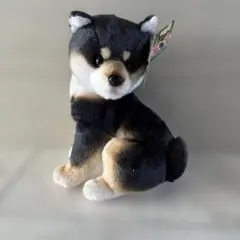 こっちおいでよ　しば犬　こはる