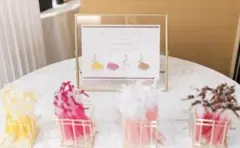 ドレス色当てクイズ 一式 セット ウェルカムスペース 結婚式 披露宴