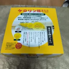 未開封 ケロリン 湯桶 100周年記念モデル ホワイト 新品