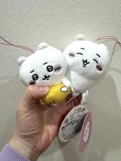 ちいかわ　ぬいぐるみ2個セット