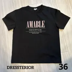 【新品未使用】DRESSTERIOR Tシャツ　ブラック 36のサムネイル