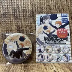 ★ハイキュー ★Playing マスコット トレーディング 缶バッジ 日向 翔陽