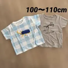 インセクトコレクション　100〜110 セット　Tシャツ 半袖