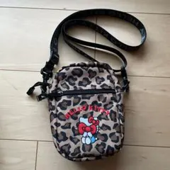 ハローキティ　ヒョウ柄　ショルダーバッグ　ハンドバッグ　２点セット