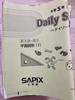 今日までお値下げ！SAPIX 小学5年1年分算数デイリーサポートサピックス74冊 算数5年サピックス デイリーサポート解説［510-13規則性］｜SAPIX攻略