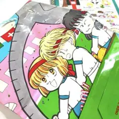 りぼん付録 池野恋 ときめきトゥナイト なるみ じゃんぼバッグ