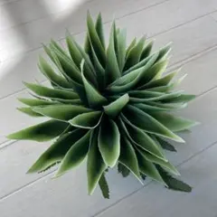 フラダンス髪飾り