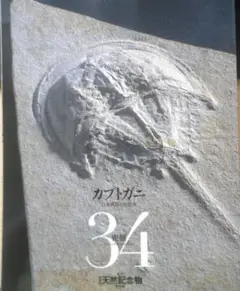 ⭐︎日本の天然記念物⭐︎全6巻⭐︎講談社⭐︎ ⭐︎日本の天然記念物⭐︎全6巻⭐︎講談社⭐︎ 日本の天然