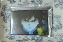 鬼滅の刃 全方位コレクション 缶バッジ 冨岡義勇 1点