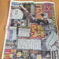 森下翔太 新聞記事のサムネイル