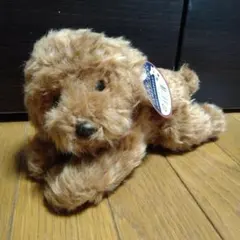 ■REAL DOG COLLECTION リアルドッグコレクショントイプー600