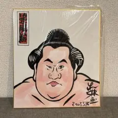 相撲　追風海直飛人　似顔絵