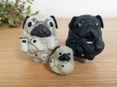 まんまるいぬ パグ 3匹セット