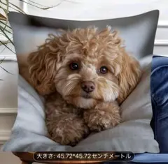 Item thumbnail for item 58d1777f-6308-4903-9f12-1538784d8ad7