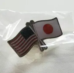 【超激レア】スパーク　アメリカ館 非売品ピンバッジ ナショナルデイ 超激レア】スパーク アメリカ館 非売品ピンバッジ ナショナル