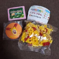 ホトケアカバネ 2点セット