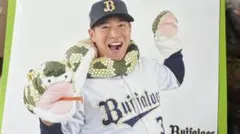 シナモン プロフィール必読様 リクエスト 2点 まとめ商品