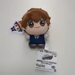 家庭教師ヒットマンREBORN!★ちびぐるみ★沢田綱吉★新品未使用品★匿名配送