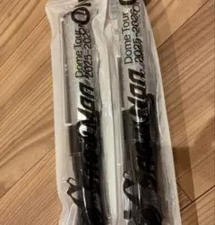 Snow Man Dome Tour on ペンライト 2本セット