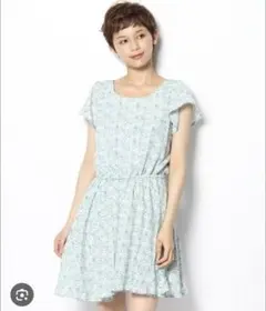 【美品】マジェスティックレゴン　ワンピース