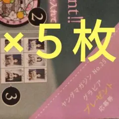 ヤングマガジン 沢口愛華 直筆サイン入り チェキ プレゼント応募券 10