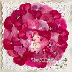 Haru工房❁⃘*.様オーダーページ【押しフルーツ】【押し花】