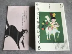 生きる力が湧いてくる 野口理恵