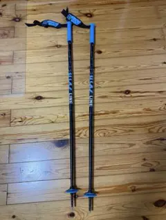 LINE WALLISCHTICK スキーポール