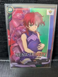 メキシカンCT様 リクエスト 2点 まとめ商品