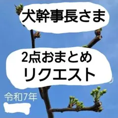 犬幹事長様 リクエスト 2点 まとめ商品