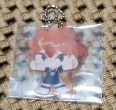 Ｇ賞 日向翔陽 ハイキュー!! 一番くじ ゴミ捨て場の決戦２