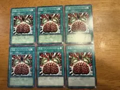 遊戯王⭐️洗脳-ブレインコントロール⭐️ノーマル6枚セット⭐️美品