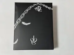 IVE WORLD TOUR チェーンストラップ ※トレカなし