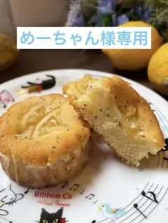 めーちゃん様専用