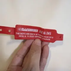 ELLEGARDEN ONE OK ROCK 2018