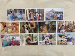 ディズニー　ポストカードセット