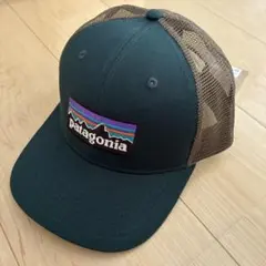 完売カラー】パタゴニア P-6ロゴ キャップ - メルカリ