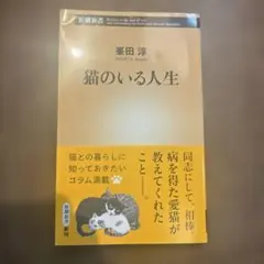 猫のいる人生