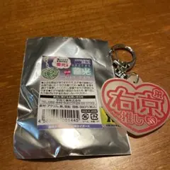 阪神タイガース 蓄光キーホルダー 前川右京選手